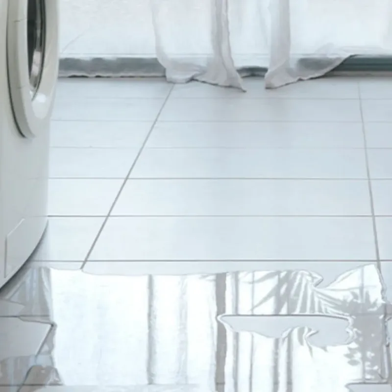 Appliance Leak Cleanup in Grambling, LA