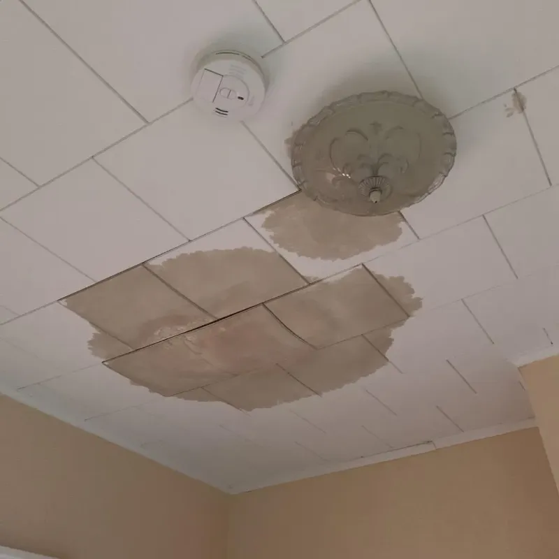 Ceiling Water Damage Repair in Grambling, LA