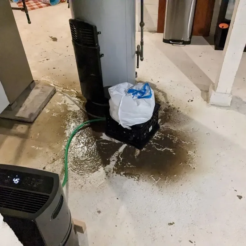 Sewage Backup Cleanup Service in Grambling, LA